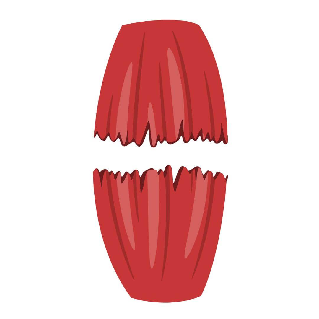 Spierscheur illustratie